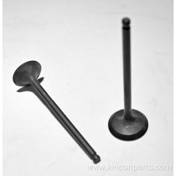 Engine Valves BYD